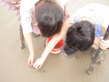 picture133